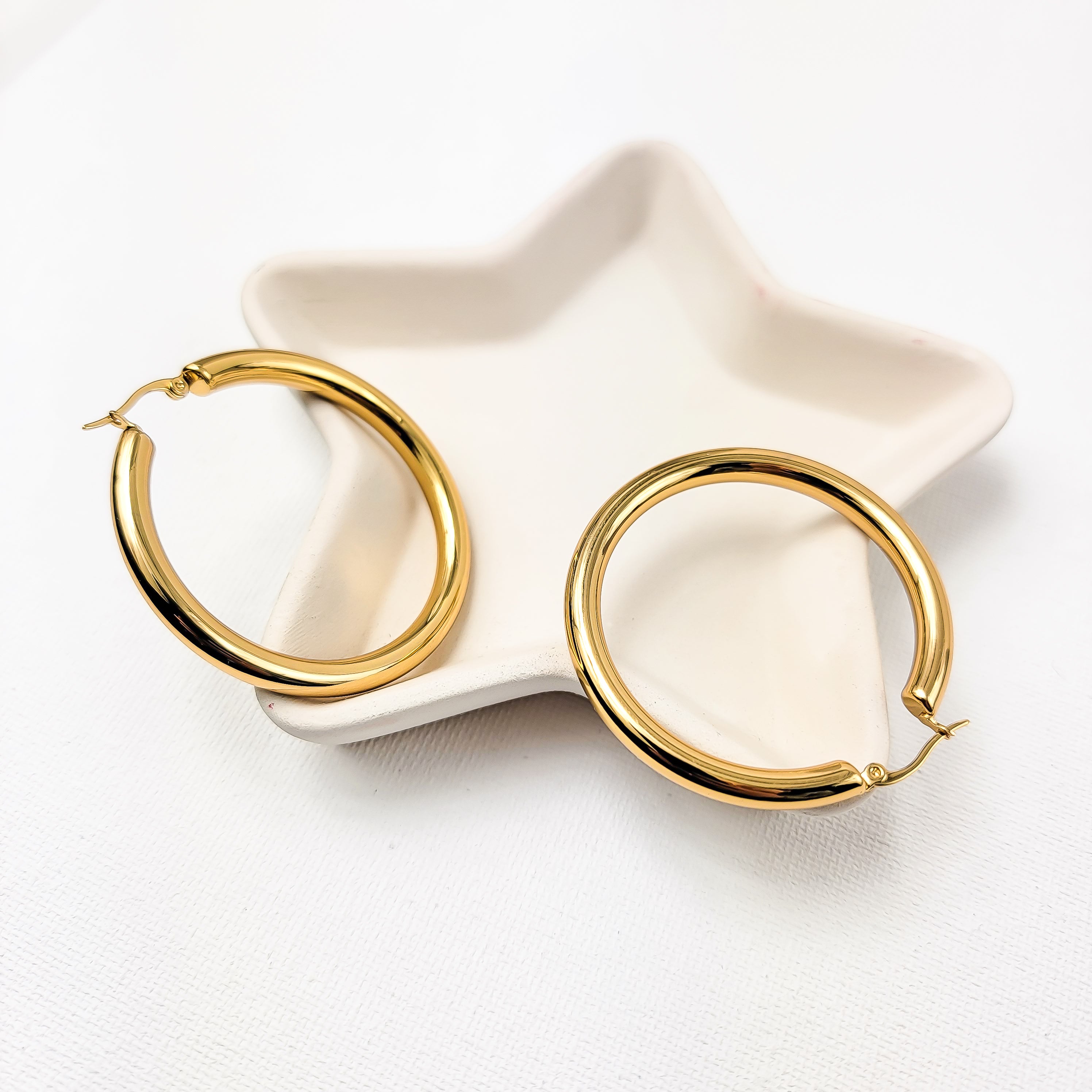 Lisa Hoops Classic Earrings