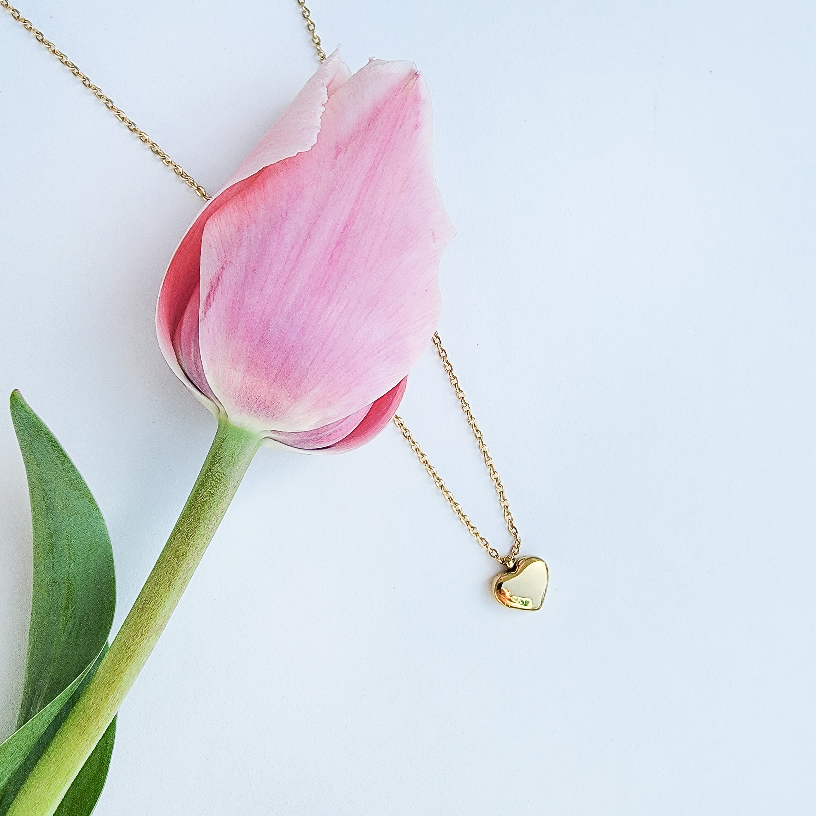 My Full Heart Necklace